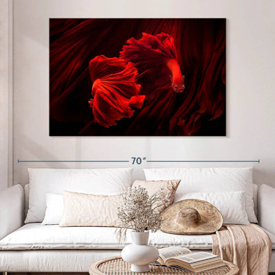 Brampt Fiery Red Betta Fish