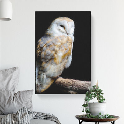 Barn Owl Vol.3 - Wrapped Canvas
