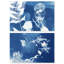 Faded Poetry Set High-Gloss Frameless Acrylic Glass Wall Art Floral & Botanical Print by Oliver Gal, Ready to Hang, 15 x 10-1200055684-1200055708