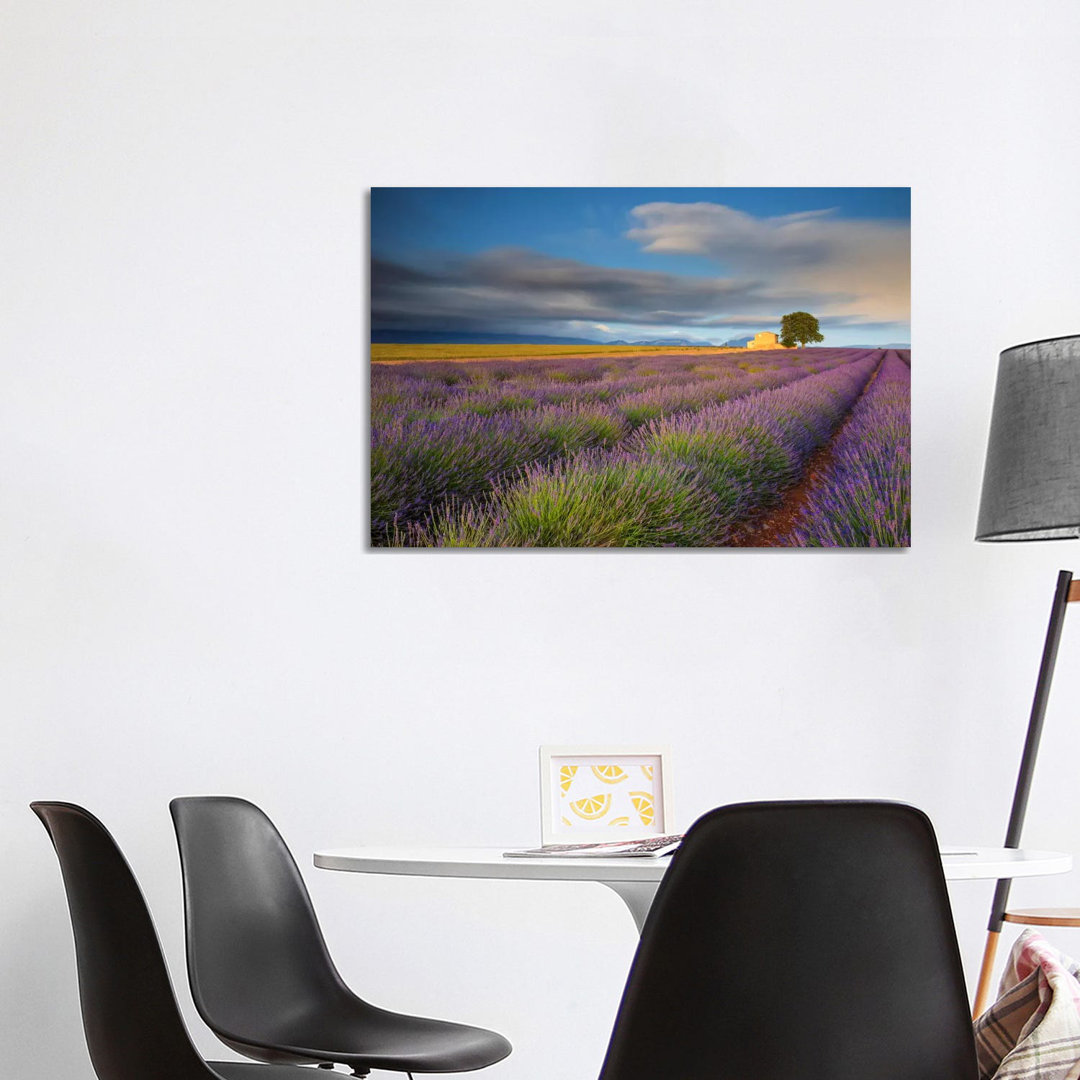 Worth The Wait, Provence, France by Jim Nilsen - Wrapped Canvas Gallery-Wrapped Canvas Giclée
