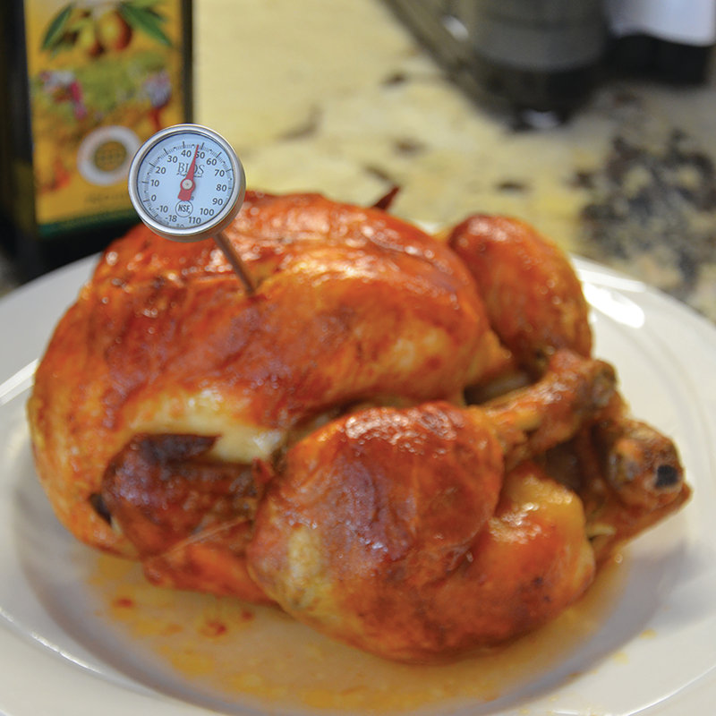 Bios Instant Read Dial Meat Thermometer