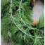 22" Fall Apple Nuts Wreath