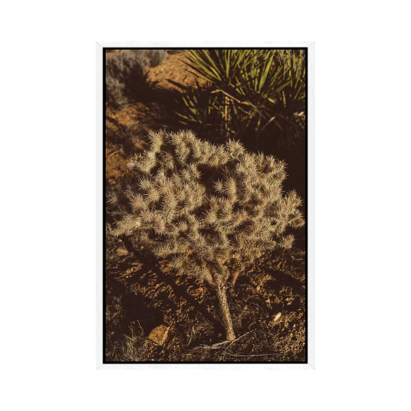 Joshua Tree National Park XIX by Bethany Young - Print on Canvas, 101.6cm H x 66.04cm W x 3.81cm D, White Framed