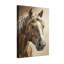 Portrait d'animaux à cheval avec une flamme blanche et un manteau brun-547298657