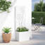 Planter Box-1278993759-1278993752