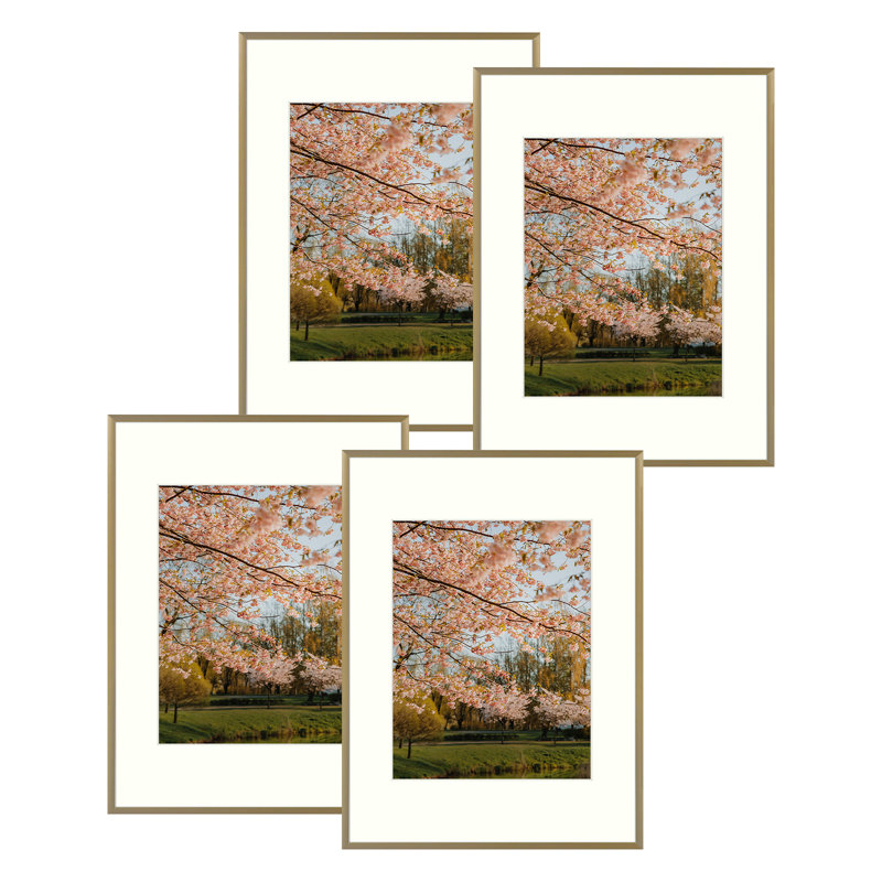 Drennon Metal Picture Frame Set with Mat, 8" x 10", Gold