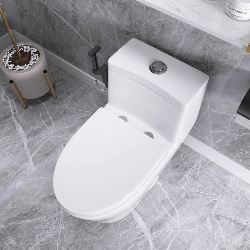 12 Inch One Piece 1.6/1.1 GPF Dual Flush Elongated Toilet In White Seat Included