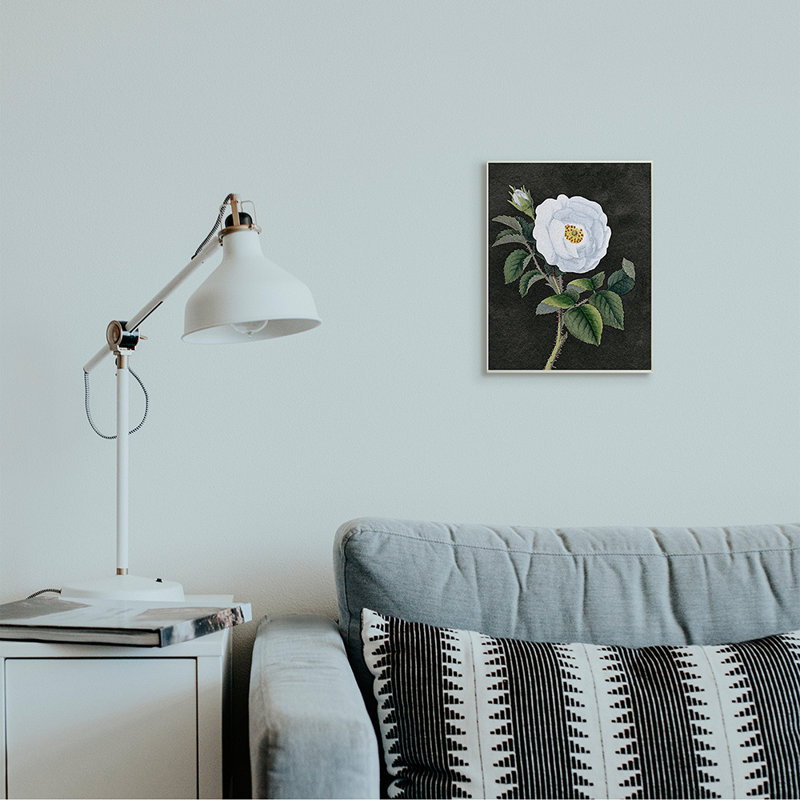 «White Poppy Illustration Vintage Flower Thorns» par Daphne Polselli - impression d'art graphique, Plaque murale