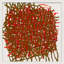 Thicket Print by Stephanie Dennis-1616698194-1616698192