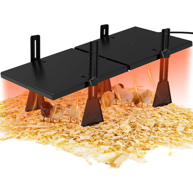 Grande chauffeuse pour poussins, 22,5 po x 11,2 po pour 20 poussins