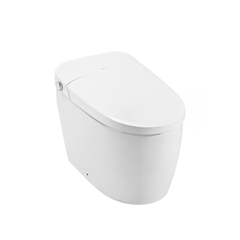 Smart Toilet Bidet Combo With Self-Cleaning Nozzle