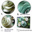 Méticuleusement rendu roses I - ensemble de décorations murales roses-107745773