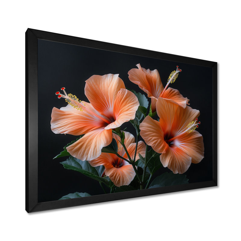 Hibiscus fusion rose rose et noir - Hibiscus, H 12 po x l 20 po x P 1 po, Toile encadrée noire simple