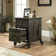 Rushton 20.87'' Wide 2 -Drawer Mobile File Cabinet