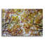«Autumn Colors» par SD Smart, art mural en verre acrylique-625115305