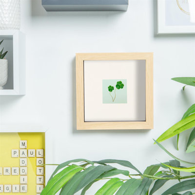 Shadow Box Picture Frame with Mat