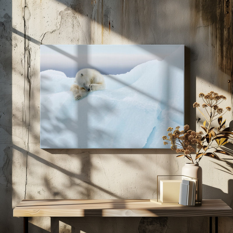 Wrapped Canvas Print, 50.8 cm H x 76.2 cm W