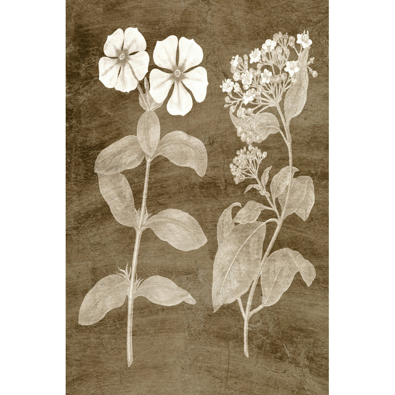 No Frame Print on Canvas, 91cm H x 61cm W x 3.8cm D