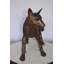 Statue bronze Maumee Fox - Taille: L 36 po x l 11 po x H 19 po.