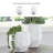 Caythan Vase-100334759
