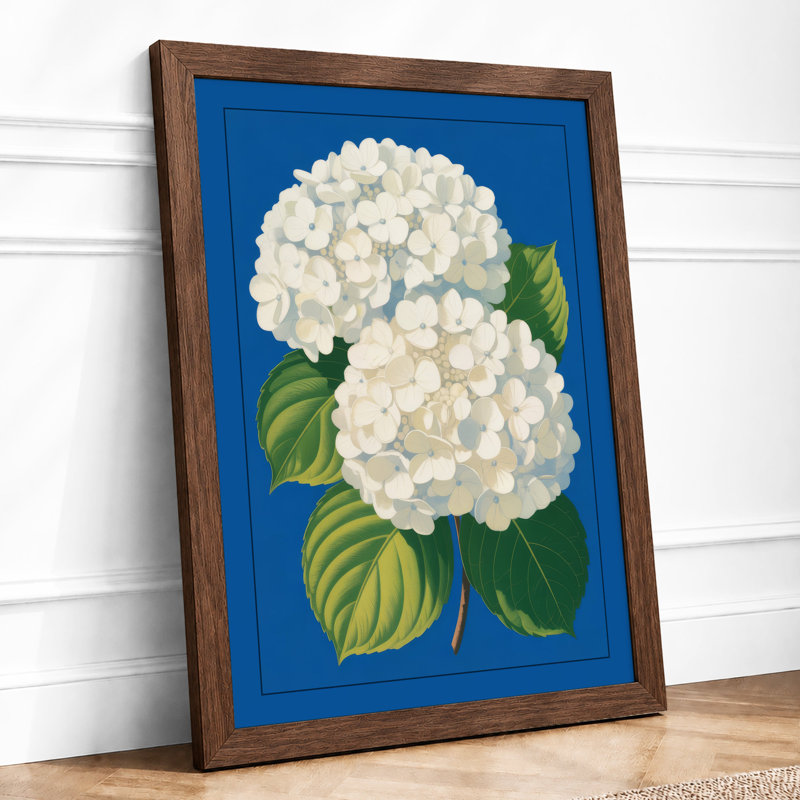 Hydrangea In Blue Botanical - Print, Walnut, A1 - 84.1 x 59.4 cm