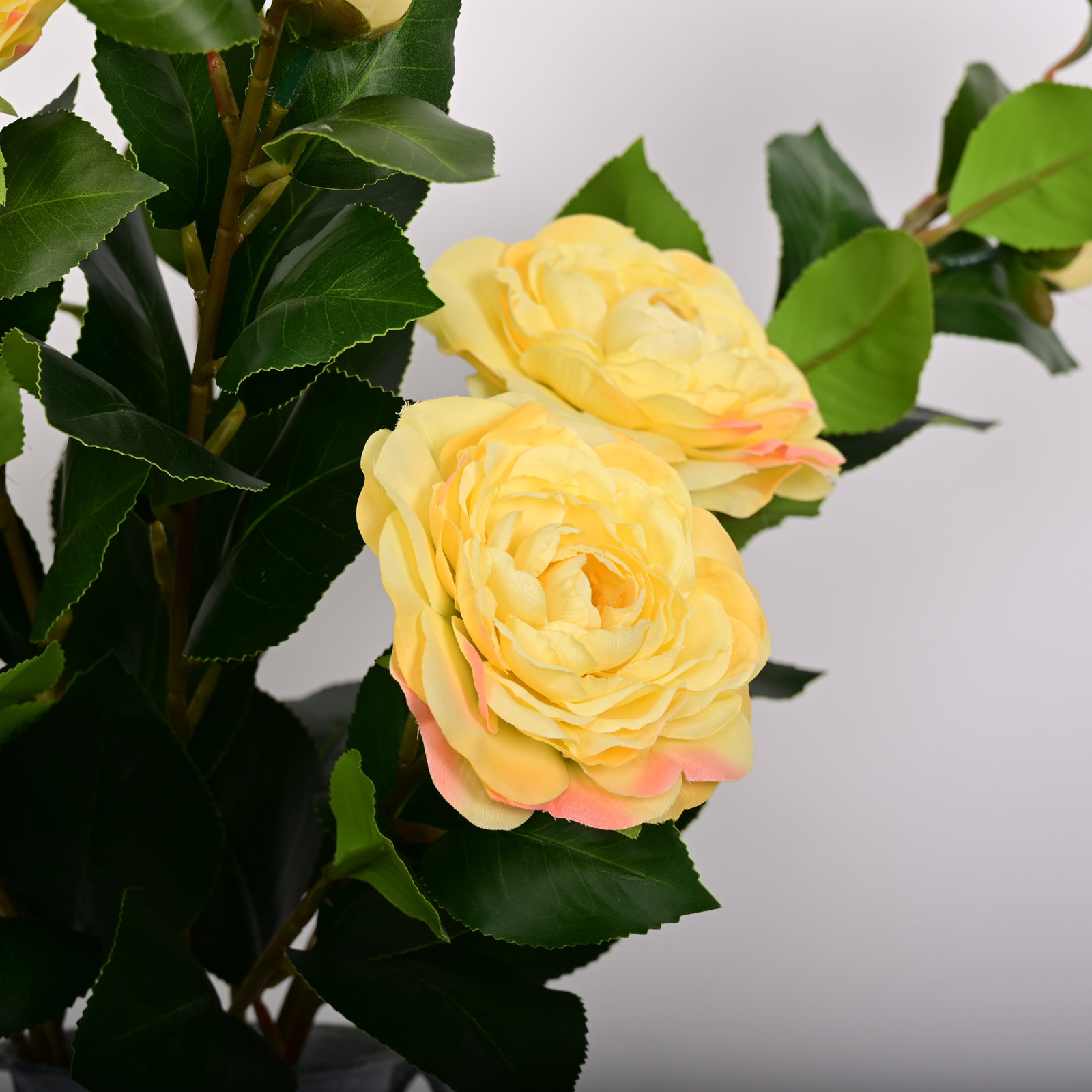 Tuomo Peony Floral Arrangement, Yellow