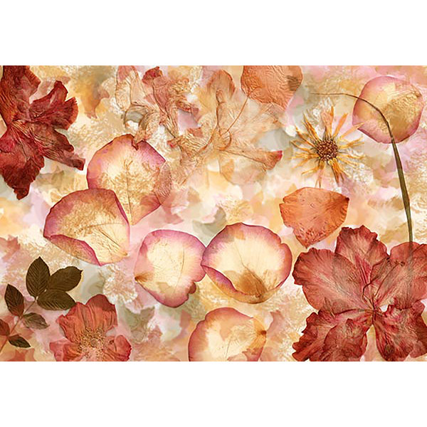 Wall Mural
