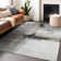 Machine Washable Indoor/Outdoor Chayden ACN1097 Mocha Rug