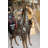 Pair of Giraffes Bronze Statues -  Size: 32"L x 12"W x 55"H. 