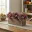 Tige de chou d'automne 10 po-128538649