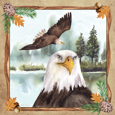 The Great Bald Eagle by Nicole DeCamp
