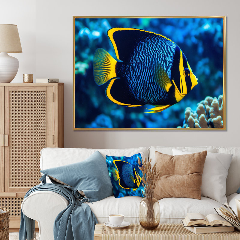 " Finned Fish Wonders II ", 24" H x 32" W x 1" D, Gold Floater Framed