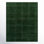 Sioeli Green Hand Tufted Area Rug