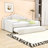 Full Upholstered Daybed Frame with Shell-Shaped Backrest and Twin Trundle-1700070530