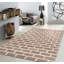 Ichabod Hand Knotted Leather Area Rug