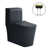 Black Toilet/Gold Button is out of stock