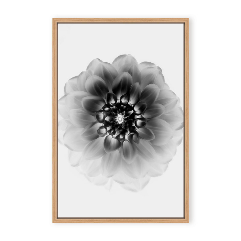 X-Ray Print by Alex Zhao, 48" H x 32" W x 1.125" D, Black, Framed Matted Print