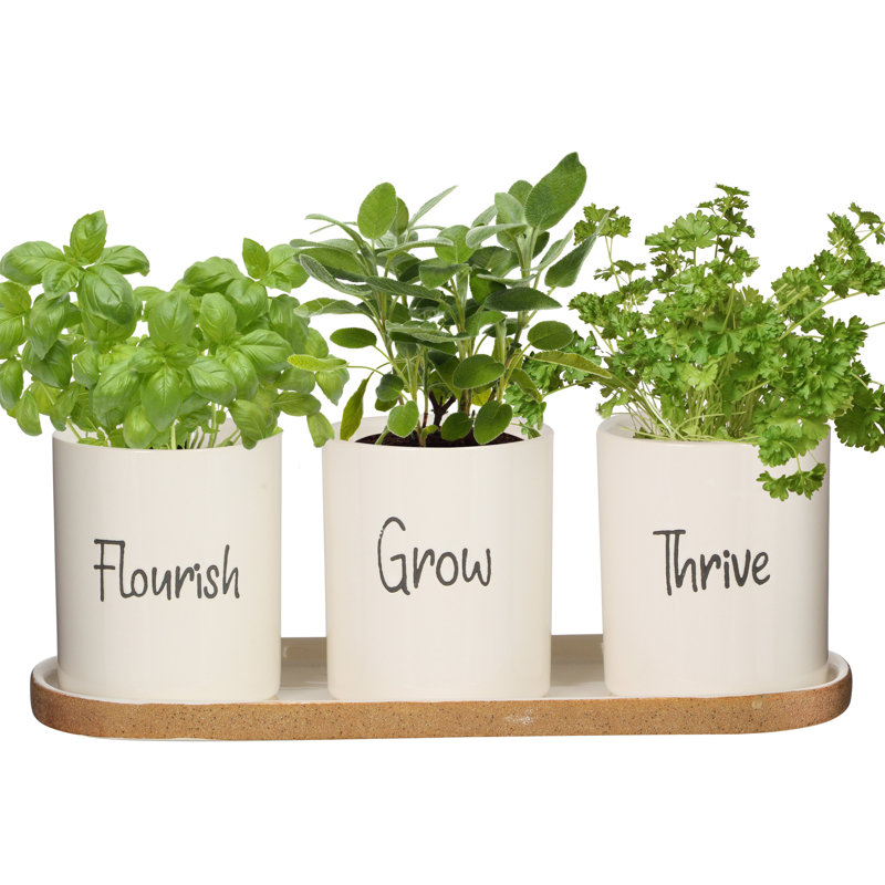 Haiqah Planter
