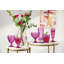 Boston Berry Highball/Tumbler Set of 4
