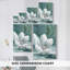 Magnolia - Cavas enveloppés de galerie