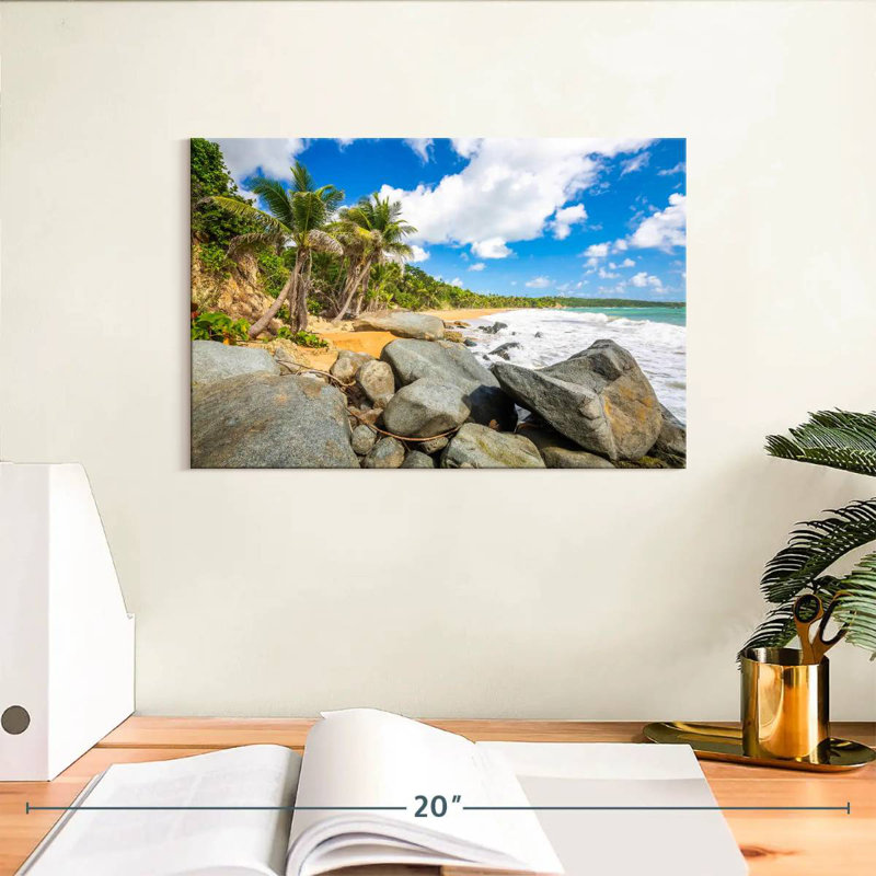 Plage de flamenco rocheux, H 8 po x l 12 po