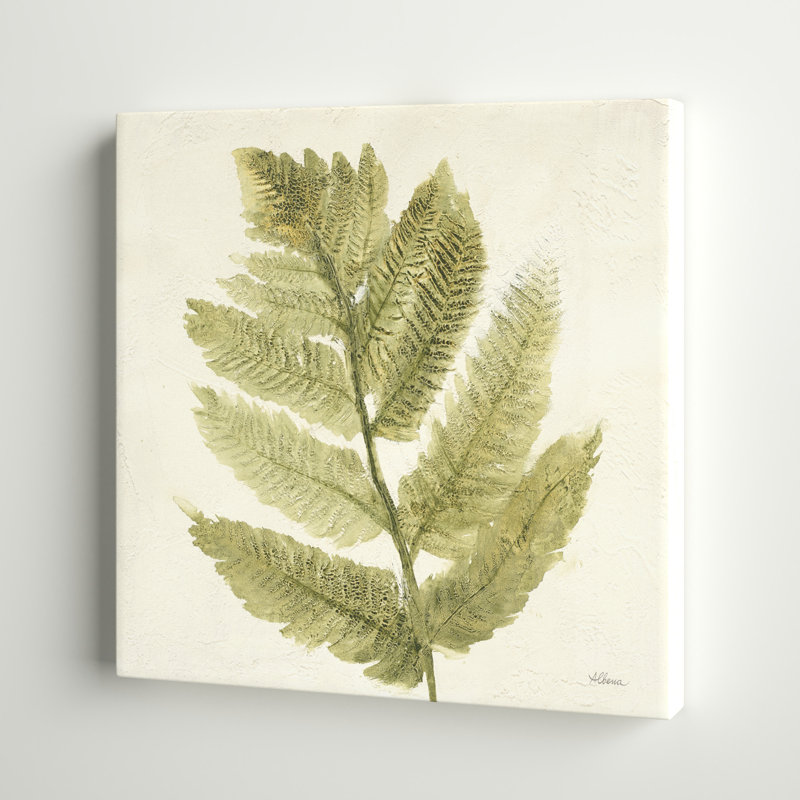 «Forest Ferns I» par Albena Hristova, reproduction d'art sur toile tendue, H 12 po x l 12 po