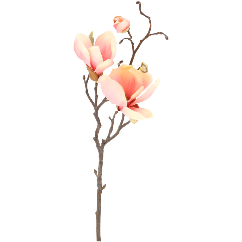 Magnolia - 20 Inches Box of 12, Pink
