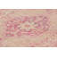 One-of-a-Kind 3'1x13' Hand Knotted Area Rug