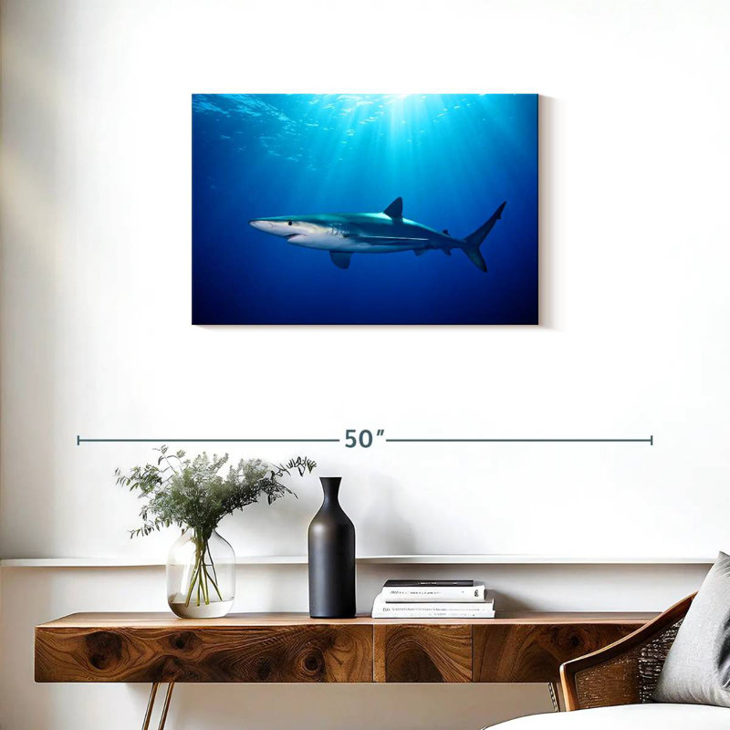 Requin bleu Brampt à Gordon's Bay, H 20 po x l 30 po