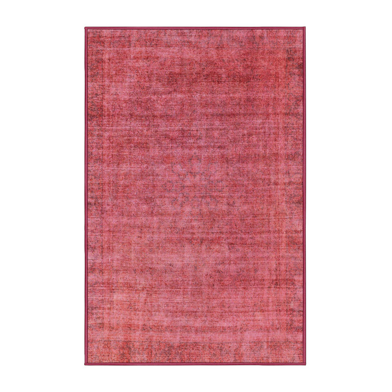 Aoibheann Abstract Indoor Rug, Rectangle 4' x 6'