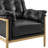 Naber Faux Leather Tufted Accent Arm Chair-1741274315