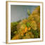 Karolis Janulis - Single Picture Frame Print-1790714703