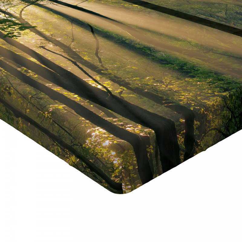 Drap-housse forêt, Drap-housse de taille double