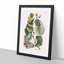Butterfly & Mano Tree by Mark Catesby - Picture Frame Painting Print-55680325-55680324